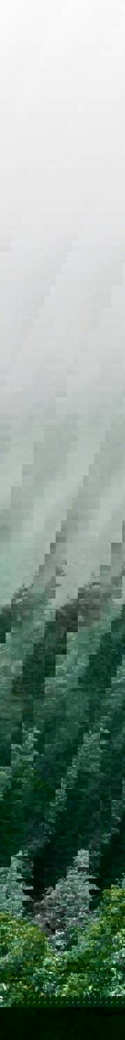 Image related to The Future of Digital Risk: DRM Monthly Webinar, September 2025